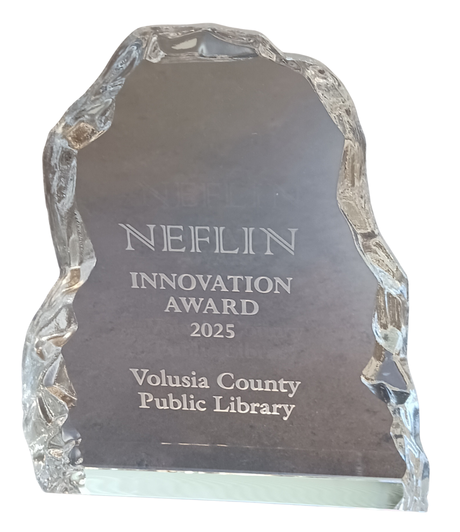 NEFLIN 2025 Innovation Award