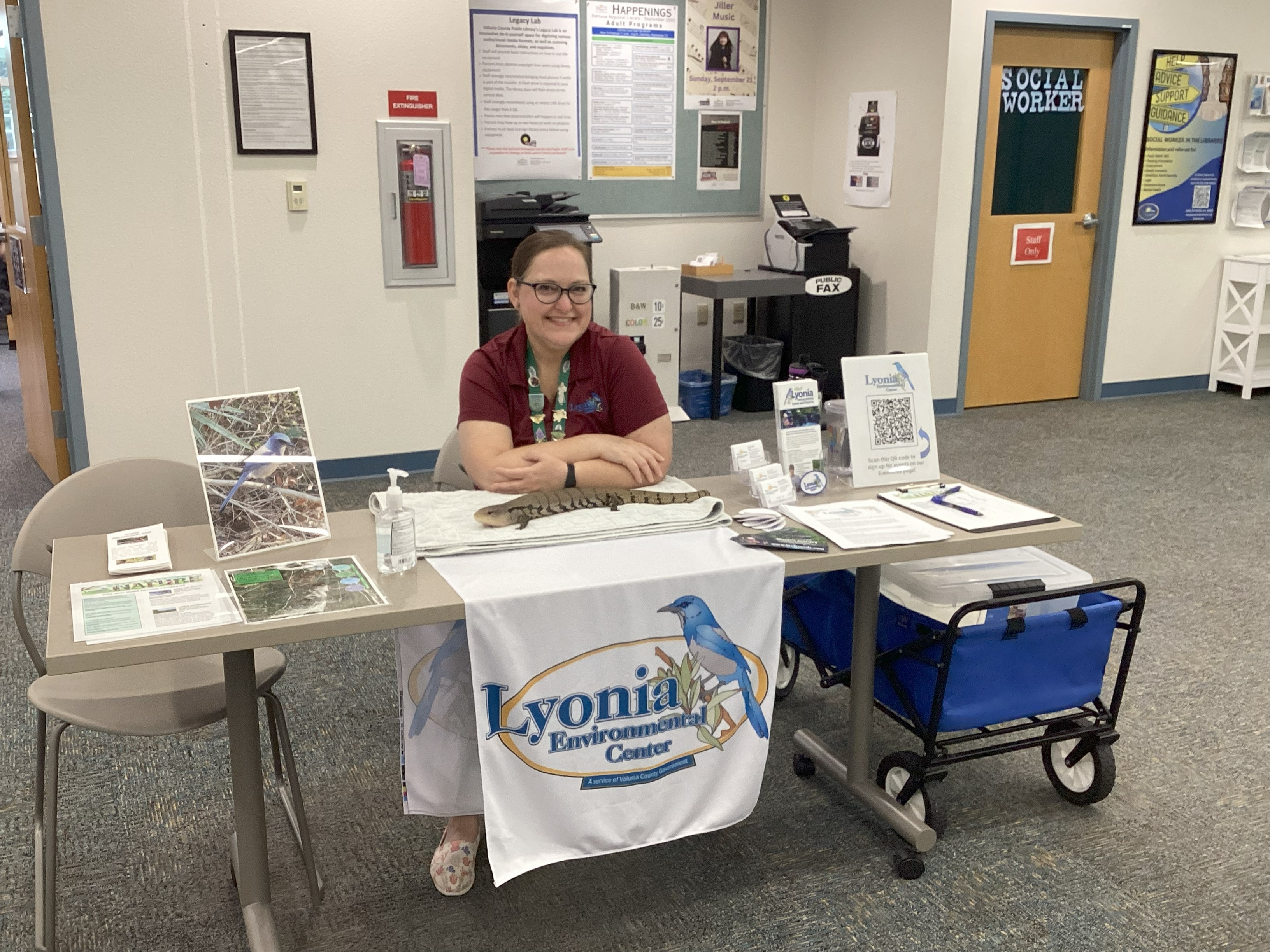 lyonia table